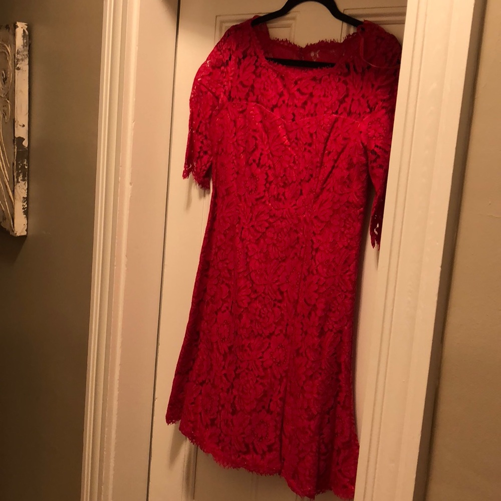 Rose lace sheeth dress.